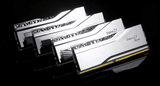 G.Skill Trident Z5 Royal Silver RGB DDR5 - 48 Go (2 x 24 Go) - 8400 MHz - C40 F5-8400J4052G24GX2-TR5S - ESP-Tech