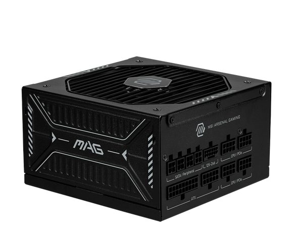 MSI MAG A1000GLS - 1000 W - 80 Plus Gold 306-7ZPIX11-CE0 - ESP-Tech
