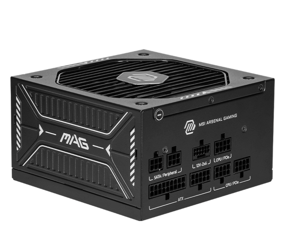 MSI MAG A650GLS - 650 W - 80 Plus Gold 306-7ZPHY11-HD8 - ESP-Tech