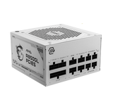 MSI MAG A850GL PCIE5 White - 850 W - 80 Plus Gold 306-7ZP8A24-CE0 - ESP-Tech