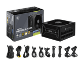 MSI MAG A850GLS - 850 W - 80 Plus Gold 306-7ZPIY11-CE0 - ESP-Tech