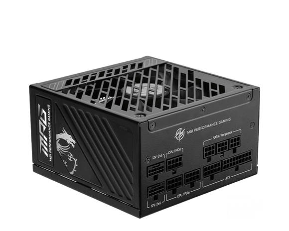 MSI MPG A1250GS PCIE5 - 1250 W - 80 Plus Gold 306-7ZPFX11-CE0 - ESP-Tech